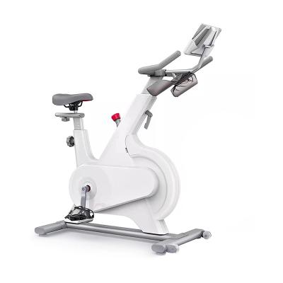 China GAION Universal Home Workout Spin Bikes Drop Shipping Exercise Bikes Spin Bike Cycle Exercise Machine for sale