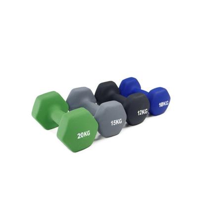 China Gaion Durable Strength Training Mills Indoor Equipment Dumbbells Adjustable Fitness Dumbbells for sale