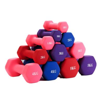 China Gaion Durable Strength Training Equipment Indoor Mills The Dumbbell Home Fitness Dumbbells for sale