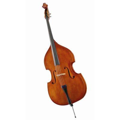 China Dual Technology Sophisticated Hard Case 1453P Solid Wood Electric Bass for sale