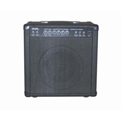 China Quality Reliable Power Bass Amp TEC-40B Professional Amplifier for sale