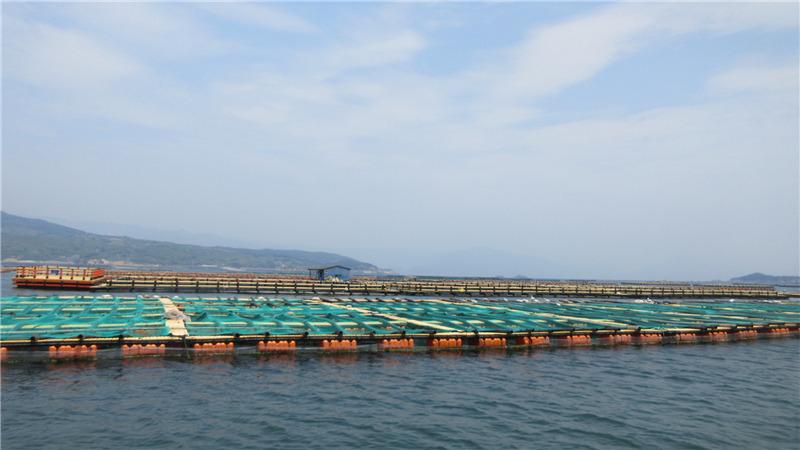 Verified China supplier - Fuzhou Rixing Aquatic Food Co., Ltd.