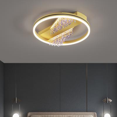 China High Grade Hot Selling Nordic Decorative Home Lighting Living Room Iron LED Acrylic Ceiling Lamp for sale