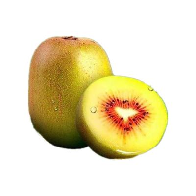 China High quality new product weight loss fresh kiwi fruit grown fresh for sale