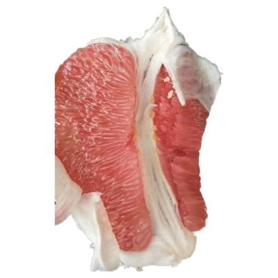 China Fresh Fresh Lime Lime Vietnam Honey Pomelo With Best Price Good Quality Citrus Fruitseeds Limonefresh Red Fresh From China for sale