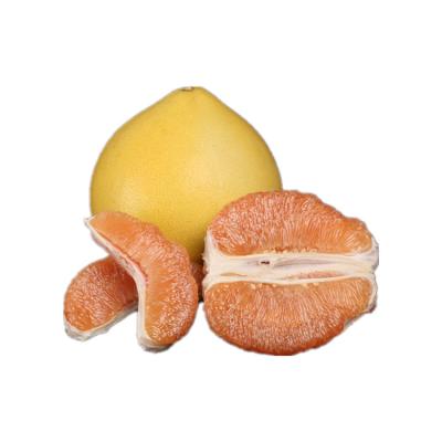 China 2021 electric car imports of Pemelo orange citrus fresh mini fresh orange for Chinese grapefruit fruit prices for sale