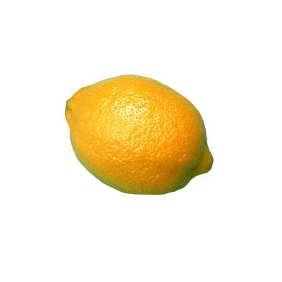 China Fresh Fresh Wholesale Decor Fruits Packaging Lemon Fruit for sale