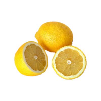 China Fresh characteristics of the new bulk cheap fresh lemon fruit fresh fruit for sale