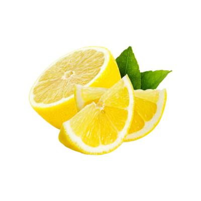 China China Fresh High Quality Cheap Fresh Lemon New Fruit Fresh for sale