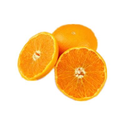 China OE Sweet Golden Yellow Delicious Fresh Bulk Fresh Gan Orange for sale