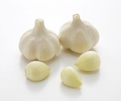 China new culture jin xiang garlic bulk fresh garlic for sale from china exporters for sale