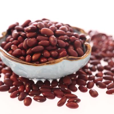 China Large and small size dried Japanese red kidney beans for sale