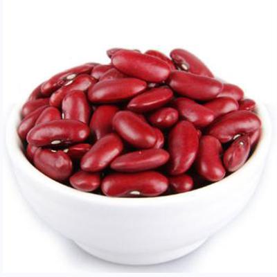 China Good price china factory dried organic dark red kidney beans for sale