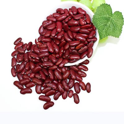 China Dried Kidney Kidney Beans from England for sale