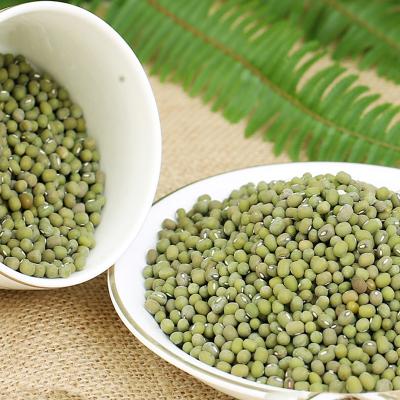 China Inner Mongolia Dry Good Quality Porcelain Green Mung Beans For Food Use 3.6mm for sale