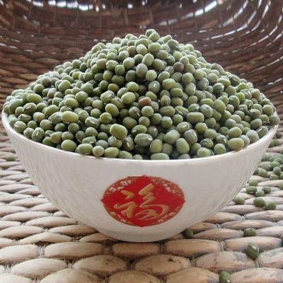 China Current year dried unpolished mung beans with different size for sale