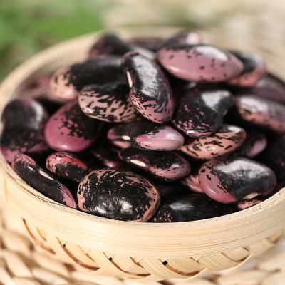 China Large dry black spotted kidney beans for sale