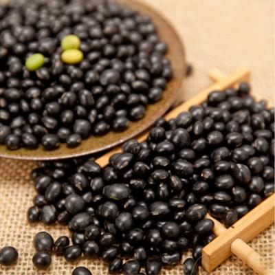 China Dried organic black bean with green kernel for sale