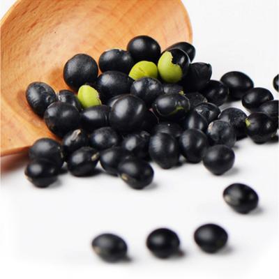 China New crop dry black bean with green core for sale