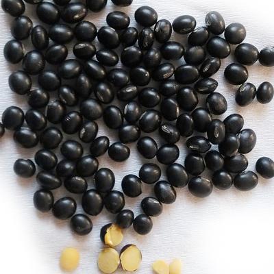 China Dry black soybeans with yellow core inside for sale