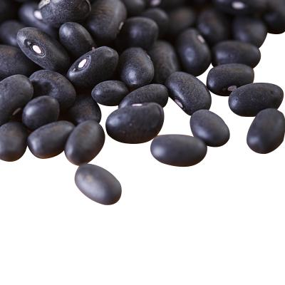 China Dried Organic Black Turtle Beans With High Protein for sale