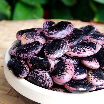 China Organic Dry Large Black Spotted Kidney Bean For Sale for sale