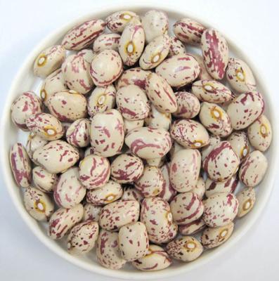 China Organic Dry Spotted Butter Beans for sale