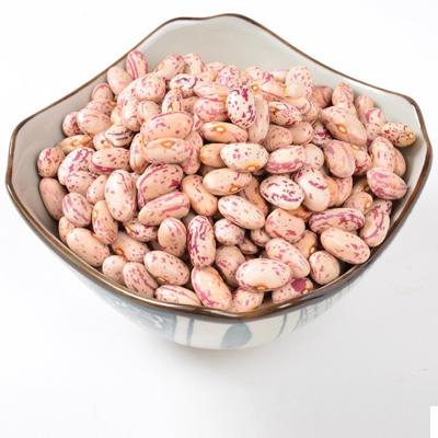 China New crop sugar dried red speckled beans for sale