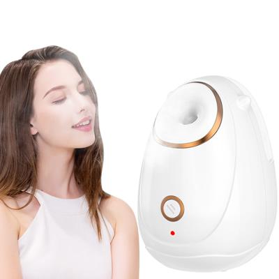 China New Amazon Mister Face Sprayer Professional Mister Steam DEEP CLEANING Nano Trending Facial Machine for sale