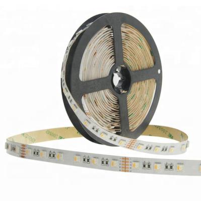 China Warehouse TKLED 13years OEM and ODM experience 24v RGBW led strip 5050 flexible led light for sale