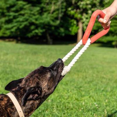 China Dog Manufacturers Chewer Chewer Multi-Color Viable Super Breed Rope Wild Triangle High Tug Toy Large One for sale