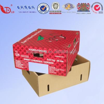 China Recyclable Fruit Packing Boxes, Apple Fruit Packaging Boxes, Fancy Dry Fruit Box. for sale