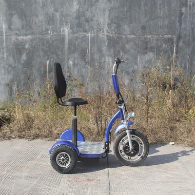 China 2019 New 3 Wheel Golf 1000w Rear Wheel Drive 2x500w Unisex Scooter for sale