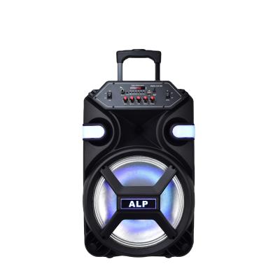 China Video Call Radio DJ Special Party Speaker Private Model 12 Inch Super Wireless Bass Speaker Wireless for sale