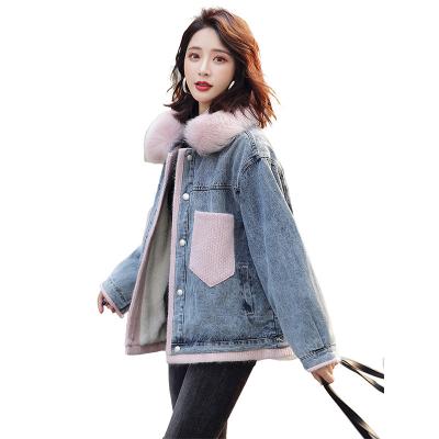 China Keep Warm New Style Jeans Loose Collar Cotton Padded Jacket Winter Ride Down Dollar Solid Color Coated Women Denim Jackets for sale