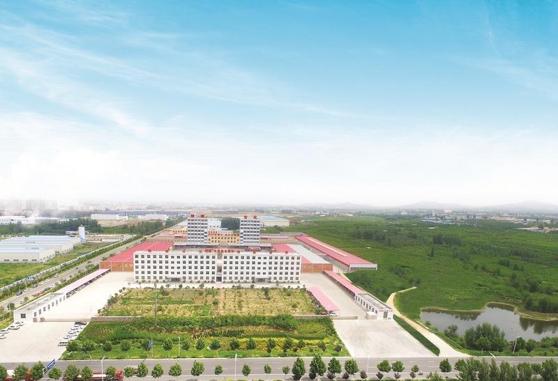 Verified China supplier - Yiwu Huaju Supply Chain Management Co., Ltd.