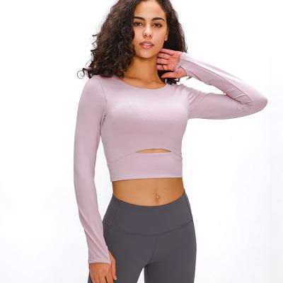 China El hueco caliente rellenado se divierte las camisas del entrenamiento de la manga de la yoga de la camisa del gimnasio del llano de las primeras mujeres largas de la cosecha en venta