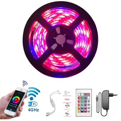 China Decoration Led Light Strips 12V 5050 Dimmable RGB LED Strip Light Magic 5m Tape Led Light Wifi Control For DIY Lamp for sale