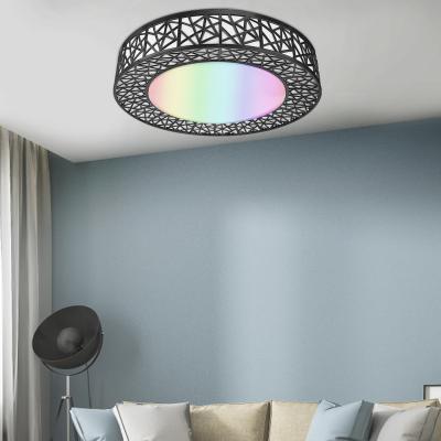 China Modern APP WIFI control by Amazon Echo Alexa Google home ceiling light with 16 million colors led ceiling light for sale