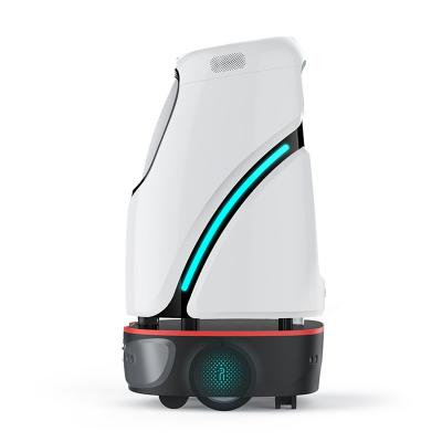 China High Quality Autonomous Smart Assistant Smart Shopping Mall Hotel Delivery Robot for sale