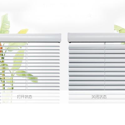 China Outdoor Venetian Patio Motorized Aluminum Venetian Blind for sale