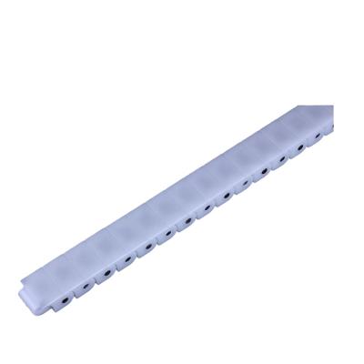 China Conveyor Technics 40P / 60P Plastic Conveyor Flat Surface Chains Roller Conveyor for sale