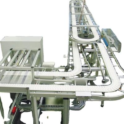 China Factory Direct Sale Size Food Grade Heat Resistant Customized Use Heavy Duty Plastic Flexible Chain Conveyor for sale