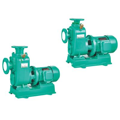 China Low Noise Direct Connection Type ZW Series Flexible Water Generator Industrial Sewage Pumps for sale