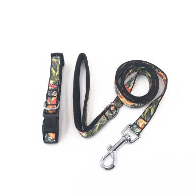 China Personalized Adjustable Webbing Neoprene Quick Release Soft Dog Collar And Leash Set For Single Type Hot Selling for sale