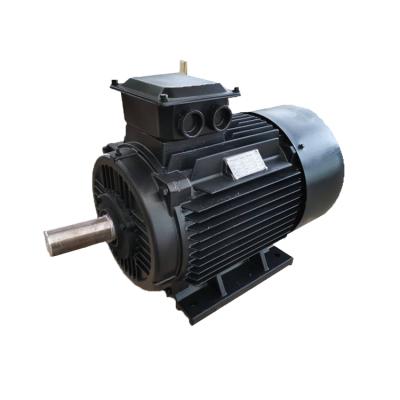 China AC Alternator 750RPM 50Hz 138Nm Low RPM Torque 15A 220vx3/380v 10kw Three Phase Permanent Magnet Generator ENP10K-750R for sale