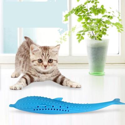 China Viable Hot Dolphin Cat Brush Cat Toys by Cat Tooth Cleaning Mint Silicone for sale