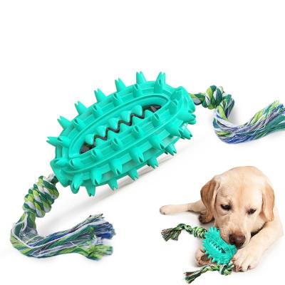 China Popular Viable Molar Tooth Cleaning And Food Leakage Dog Toothbrush Molar Tpr With Rope Cactus Bite Resistant Dog Toy Ball for sale