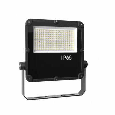 China Wholesale Outdoor Garden China Flood Light IP65 50w 100w 150w Floodlight Led Flood Light for sale