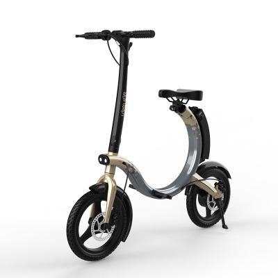 China New Fashion Design Hot Selling MINI TYPE 14 Inch Unfolding Electric Bike 350w Easy Demountable Replace Battery Lightweight e Bike for sale